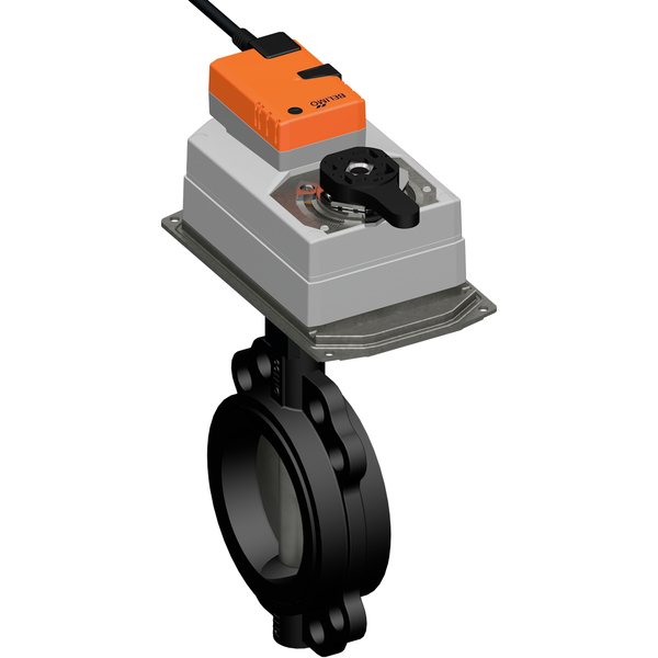 DN65