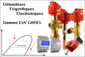 D&eacute;tente frigo &eacute;lectronique